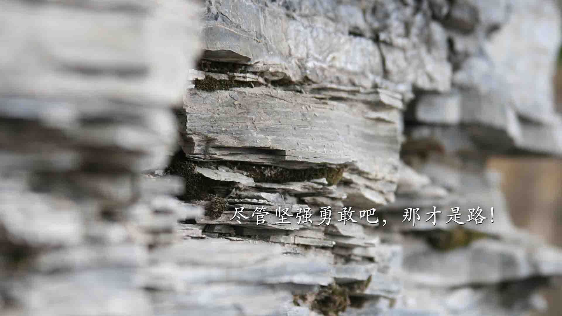 爱游戏 电竞-印度体育代表团在亚运会上的表现引发国内对体育发展的关注。，印度 运动会