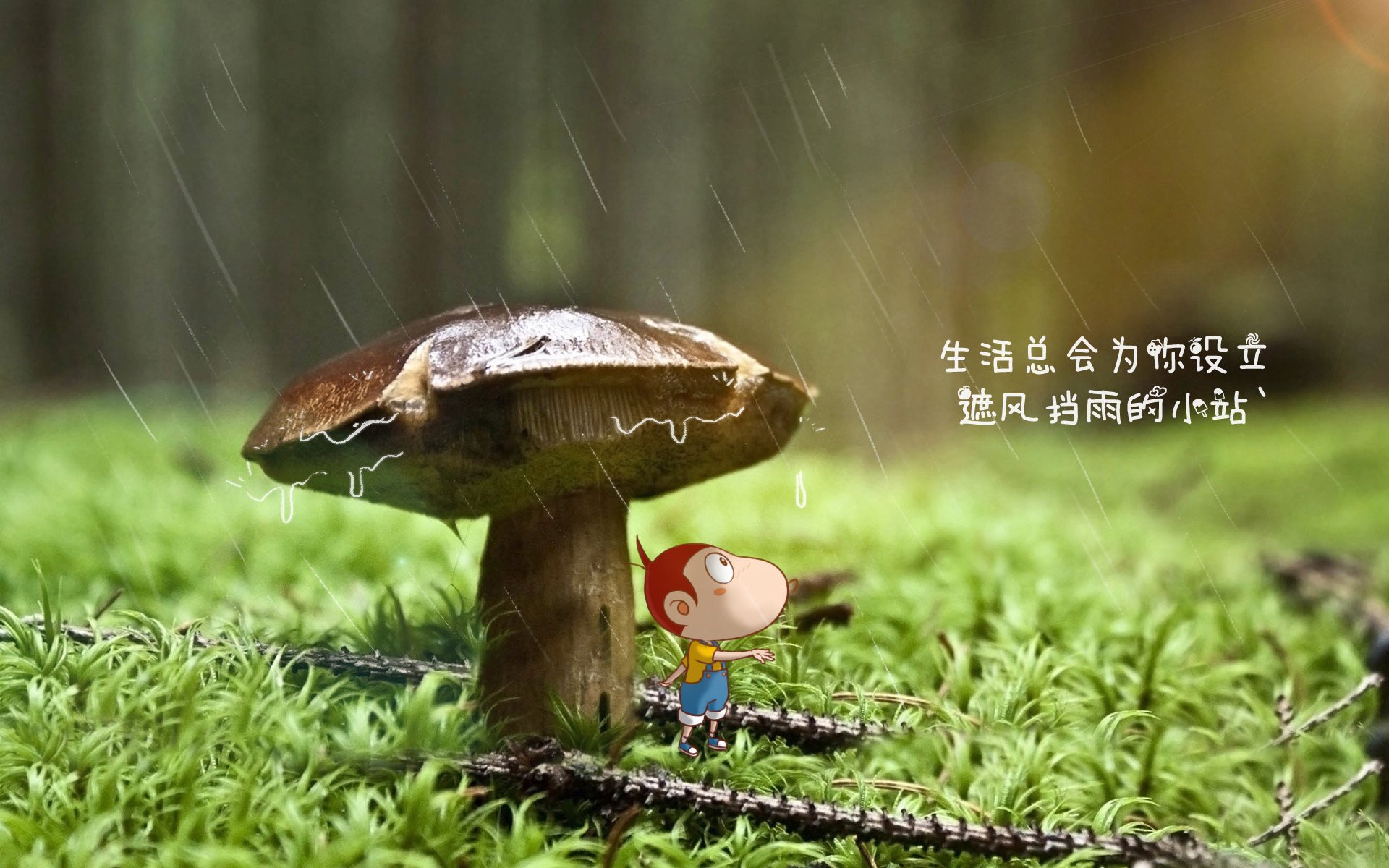 慈善足球赛上海举行，善款支持青训事业，上海慈善捐款