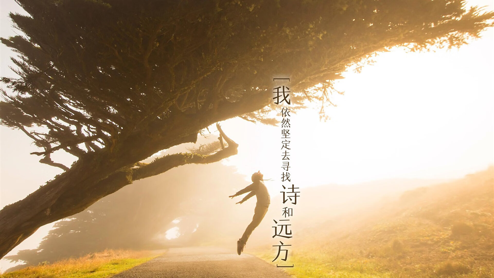 东京奥运会纪念赛上，苏炳添百米飞人风采依旧，苏炳添东京奥运会100米比赛视频