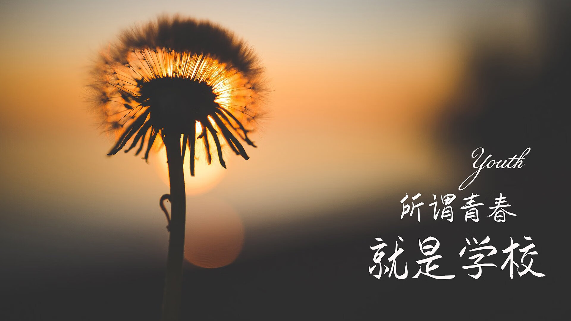 爱游戏体育-巴黎再度夺冠卫，目标点比赛多特蒙德，巴黎多特蒙德欧冠