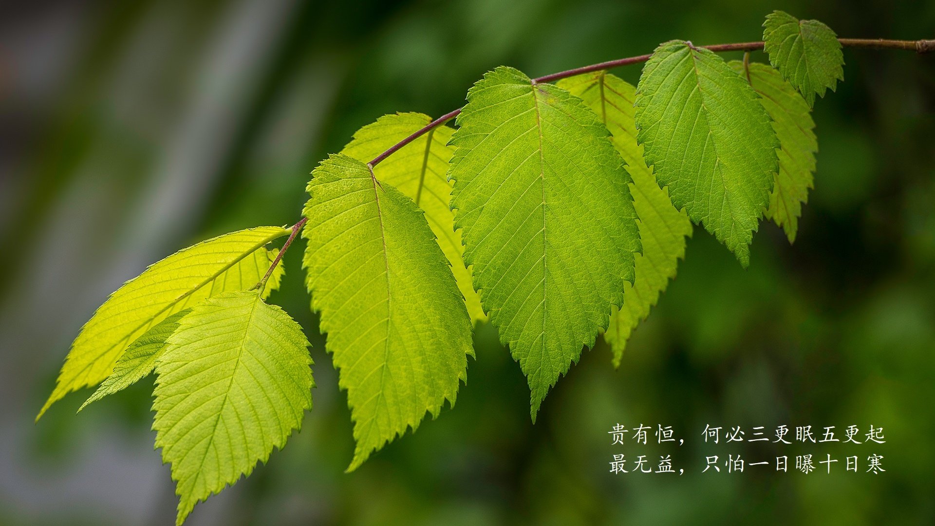 爱游戏登录入口-青年篮球人才选拔新机制，青年篮球训练机构