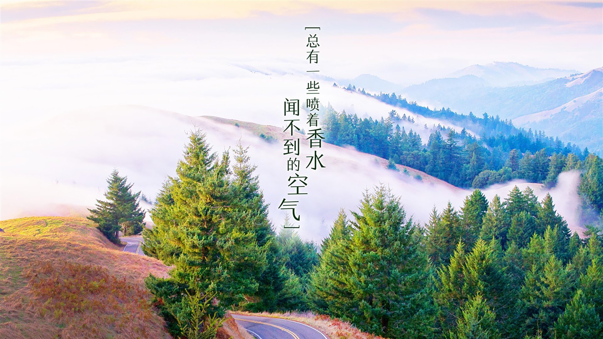 国际足球裁判引入自动判罚系统，创新引领行业发展，足球国家裁判