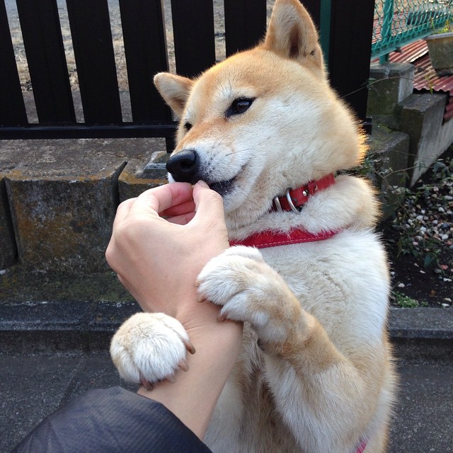 AYX GAMING-跨国足球合作推动高水平青训营，共同培养未来巨星，国外足球青训营盈利模式